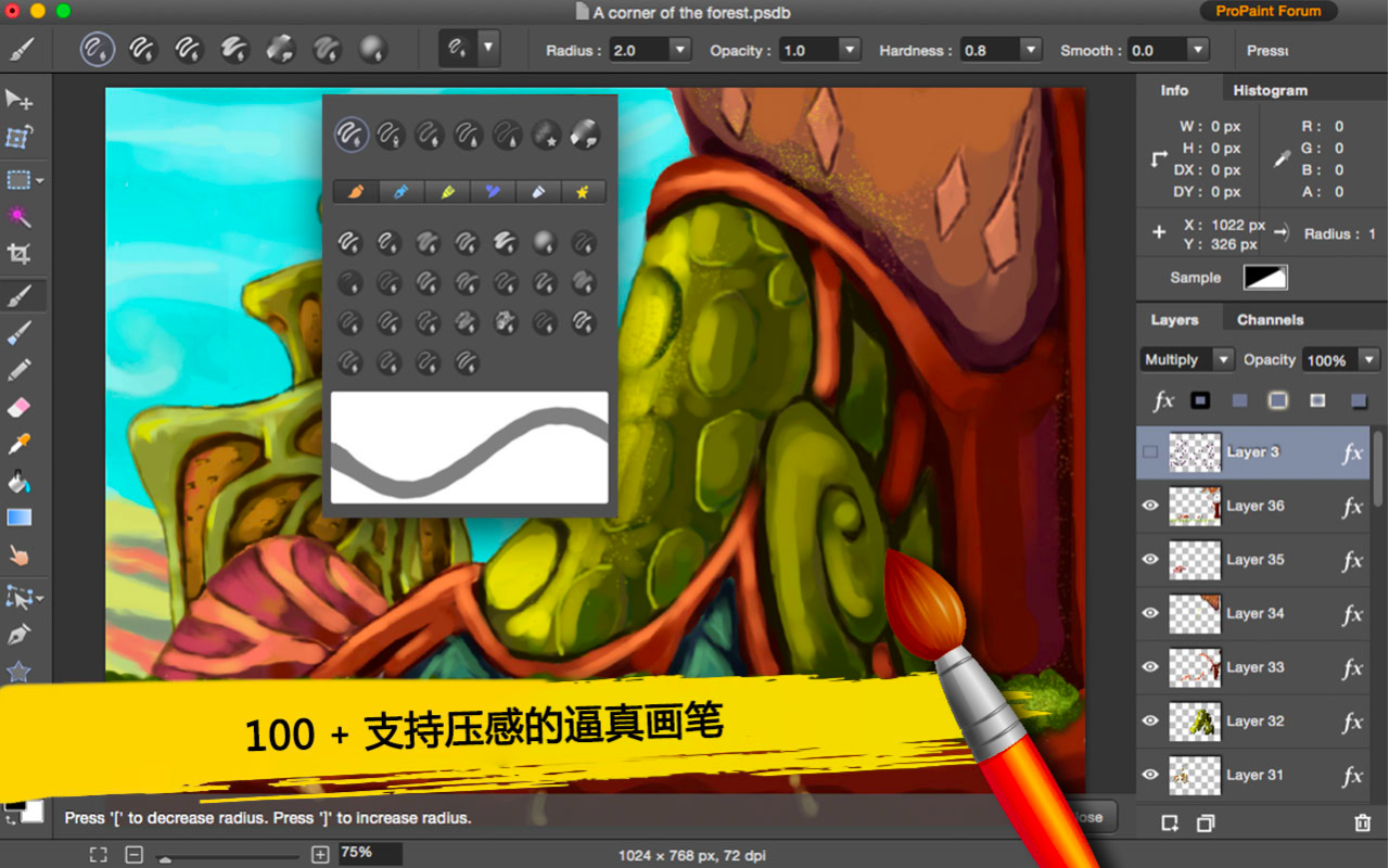 ProPaint图片编辑和绘画工具 3.7.0 Mac 中文破解版 修图滤镜特效和图像设计