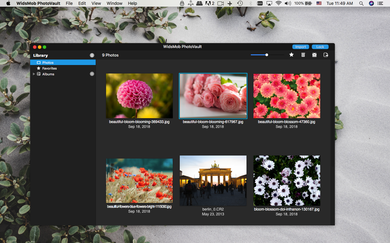 WidsMob PhotoVault 3.1 Mac 破解版 - 最安全的私人照片管理器