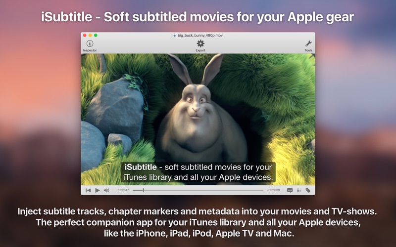 iSubtitle 3.4.6 Mac 破解版 - 视频字幕制作软件