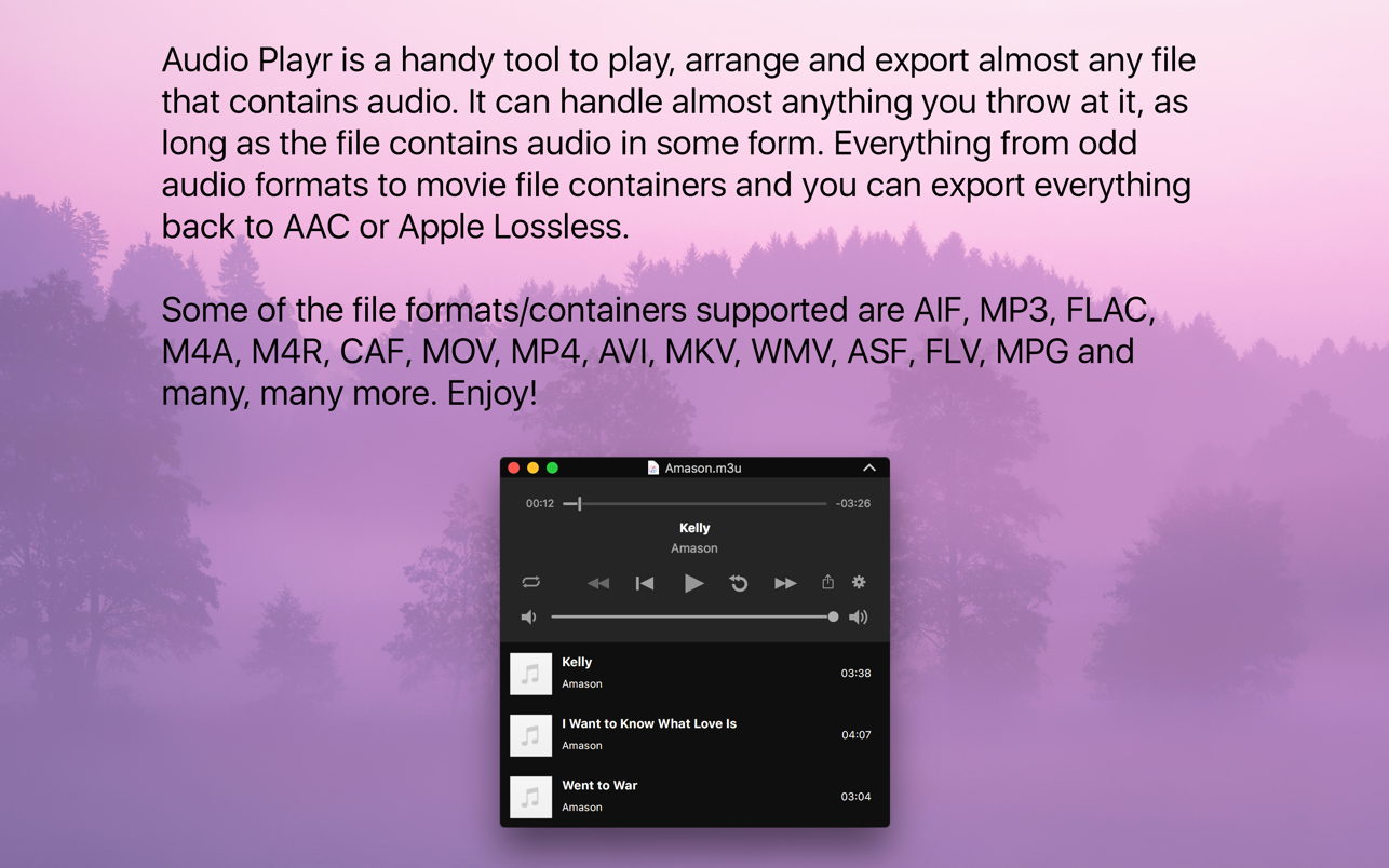 Audio Playr 2.3.1 Mac 破解版 音频播放与导出工具
