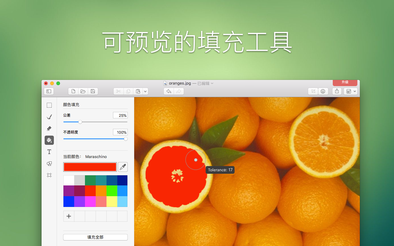 Paint X 6.0 Mac 破解版 时尚而简洁的绘图应用程序