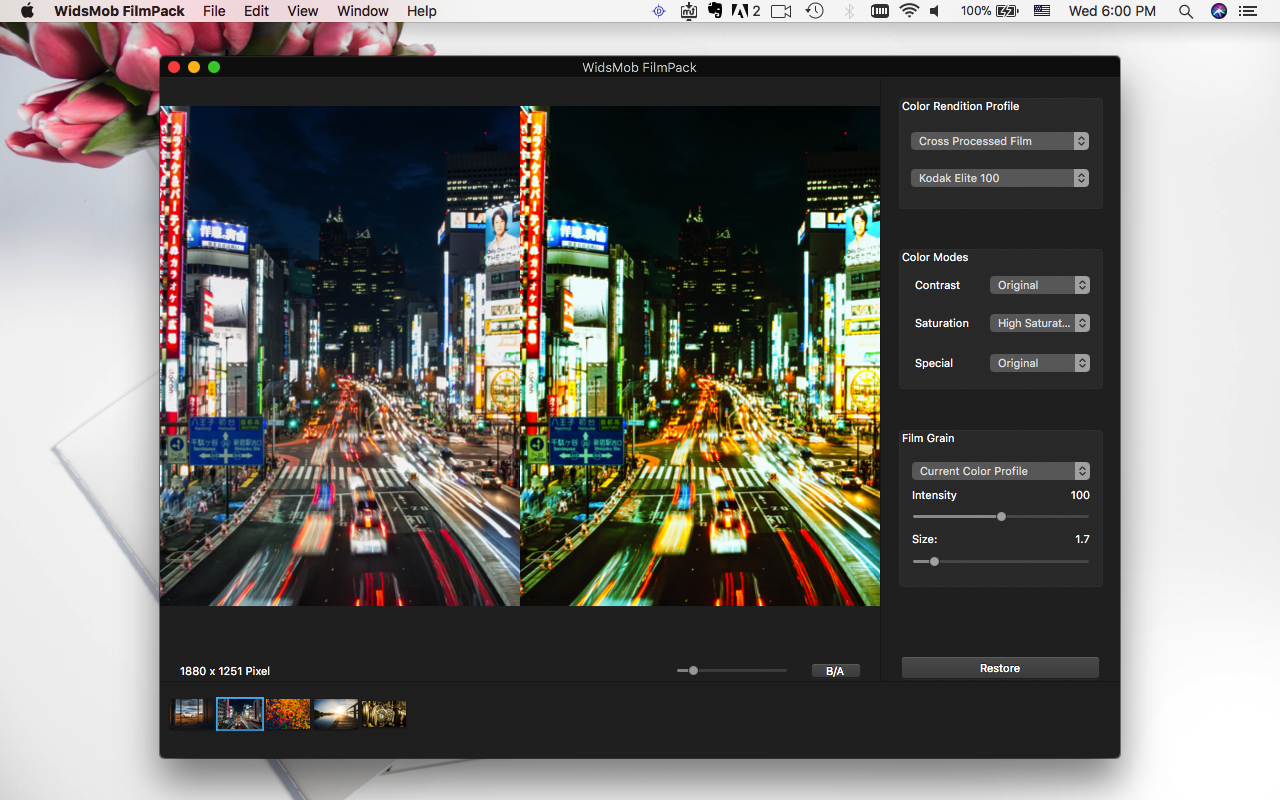 WidsMob FilmPack 2.8 Mac 破解版 - 模拟照片滤镜工具