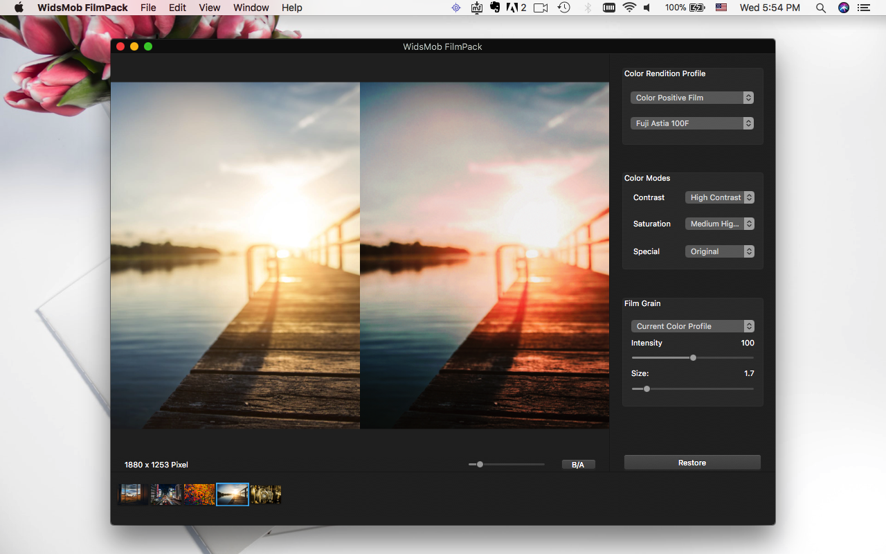 WidsMob FilmPack 2.8 Mac 破解版 - 模拟照片滤镜工具