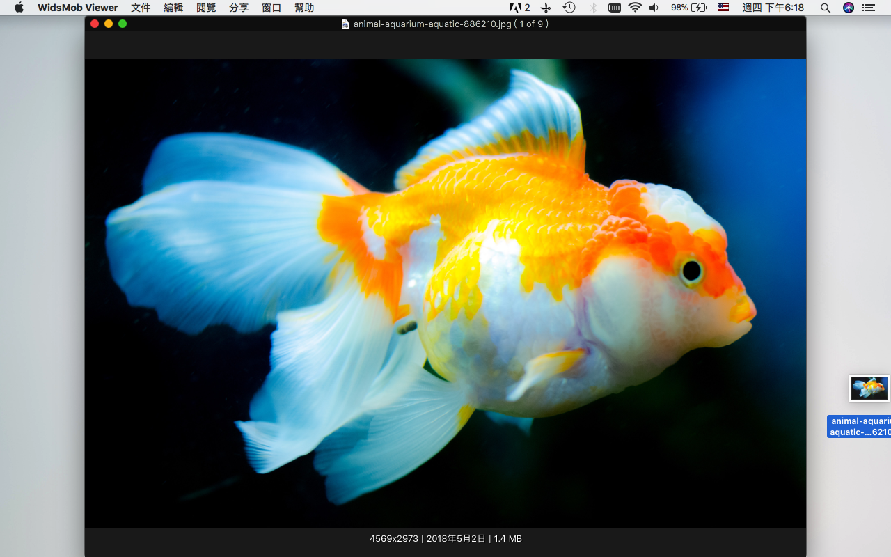 WidsMob Image Viewer 2.10 Mac 破解版 快速JPG / PNG / RAW图像查看器