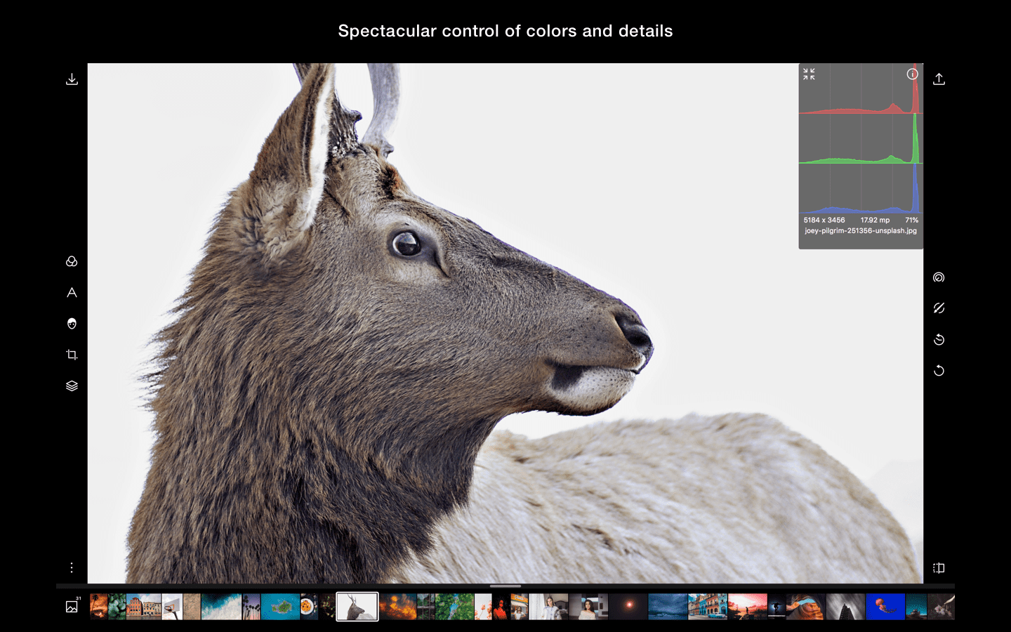 泼辣修图 Polarr Photo Editor Pro 5.10.8 Mac 破解版 专业摄影修图必备工具