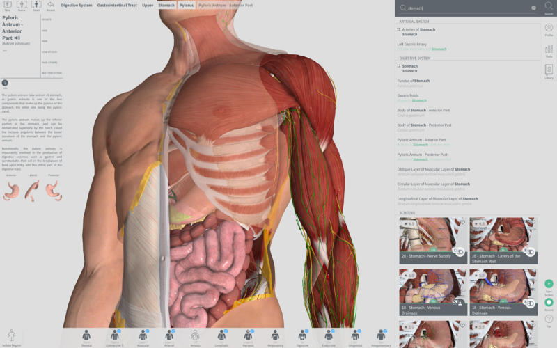 Complete Anatomy 2019 4.0.1 Mac 破解版 - 强大的3D医学人体模型