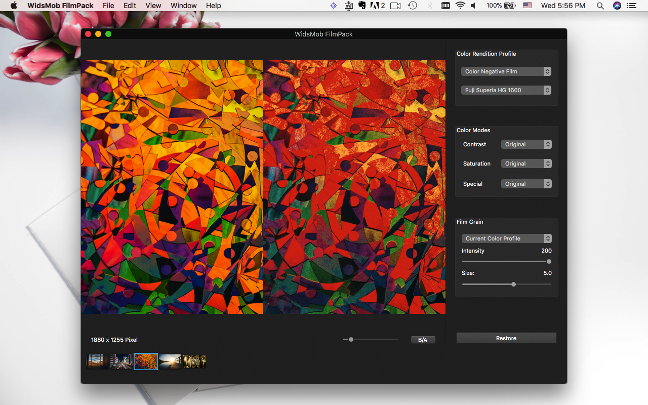 WidsMob FilmPack for Mac 2.0 破解版 - 模拟照片滤镜工具