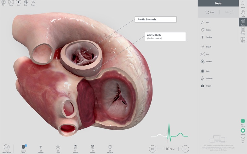 Complete Heart for Mac 1.2 破解版 - 3D心脏医学参考模型