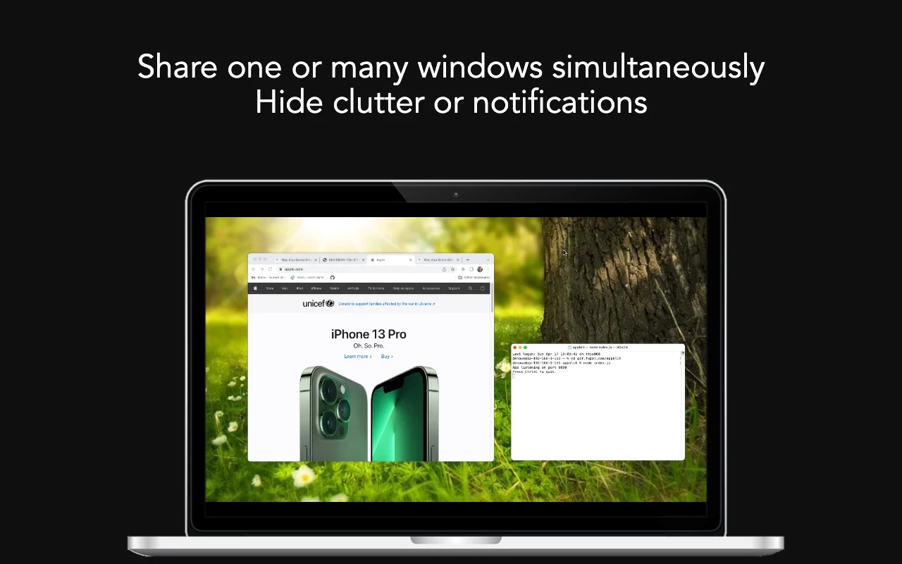 Screegle for Mac(屏幕共享工具)v2.1.7直装版
