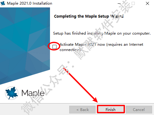 Maple 2021数学工程计算软件破解版安装包下载和安装教程插图10