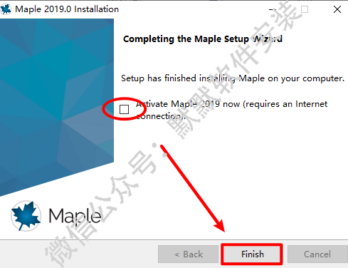 Maple 2019数学科学计算软件安装包下载和破解激活安装教程插图12