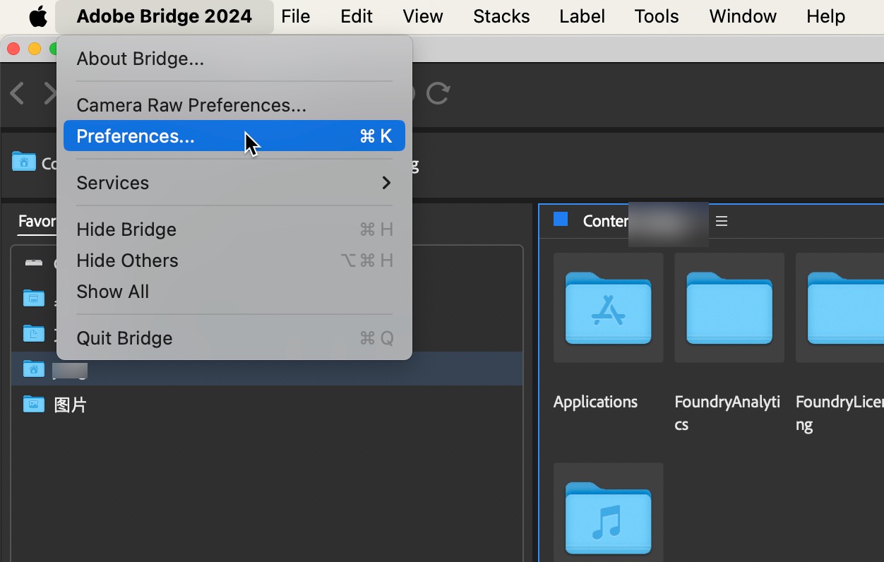 Adobe Bridge 2024 for mac(Br2024)文件管理浏览 14.0.1.137中文永久使用下载-2