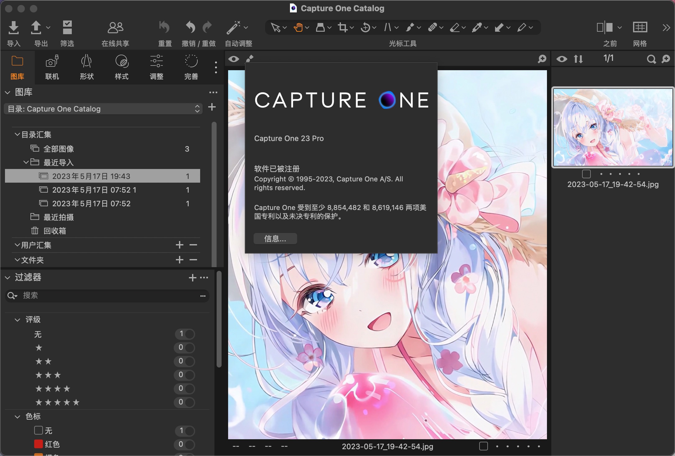 Capture One 23 Pro for mac(RAW图像编辑软件) 16.3.4.5中文激活版下载插图