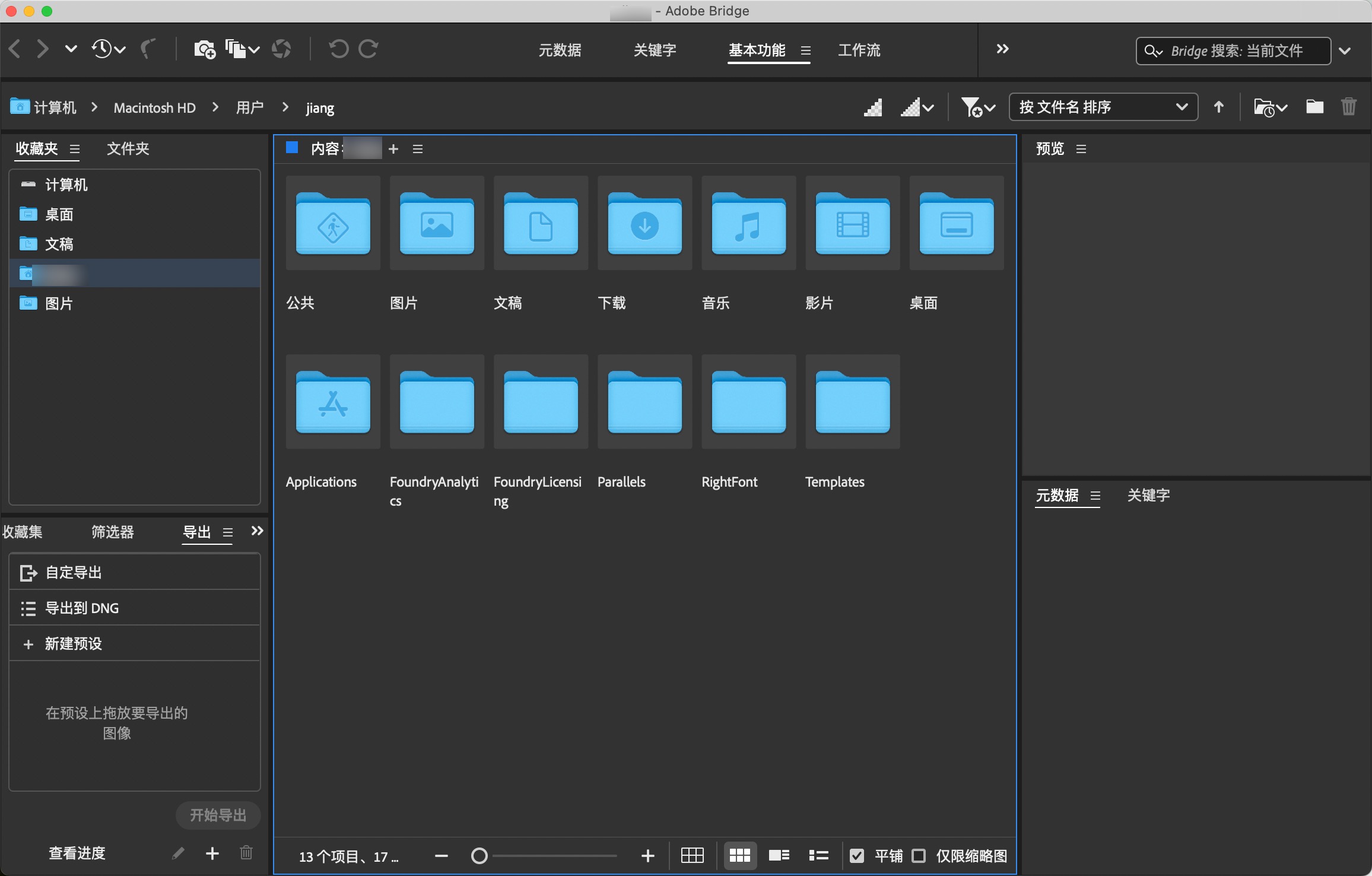 Adobe Bridge 2024 for mac(Br2024)文件管理浏览 14.0.1.137中文永久使用下载