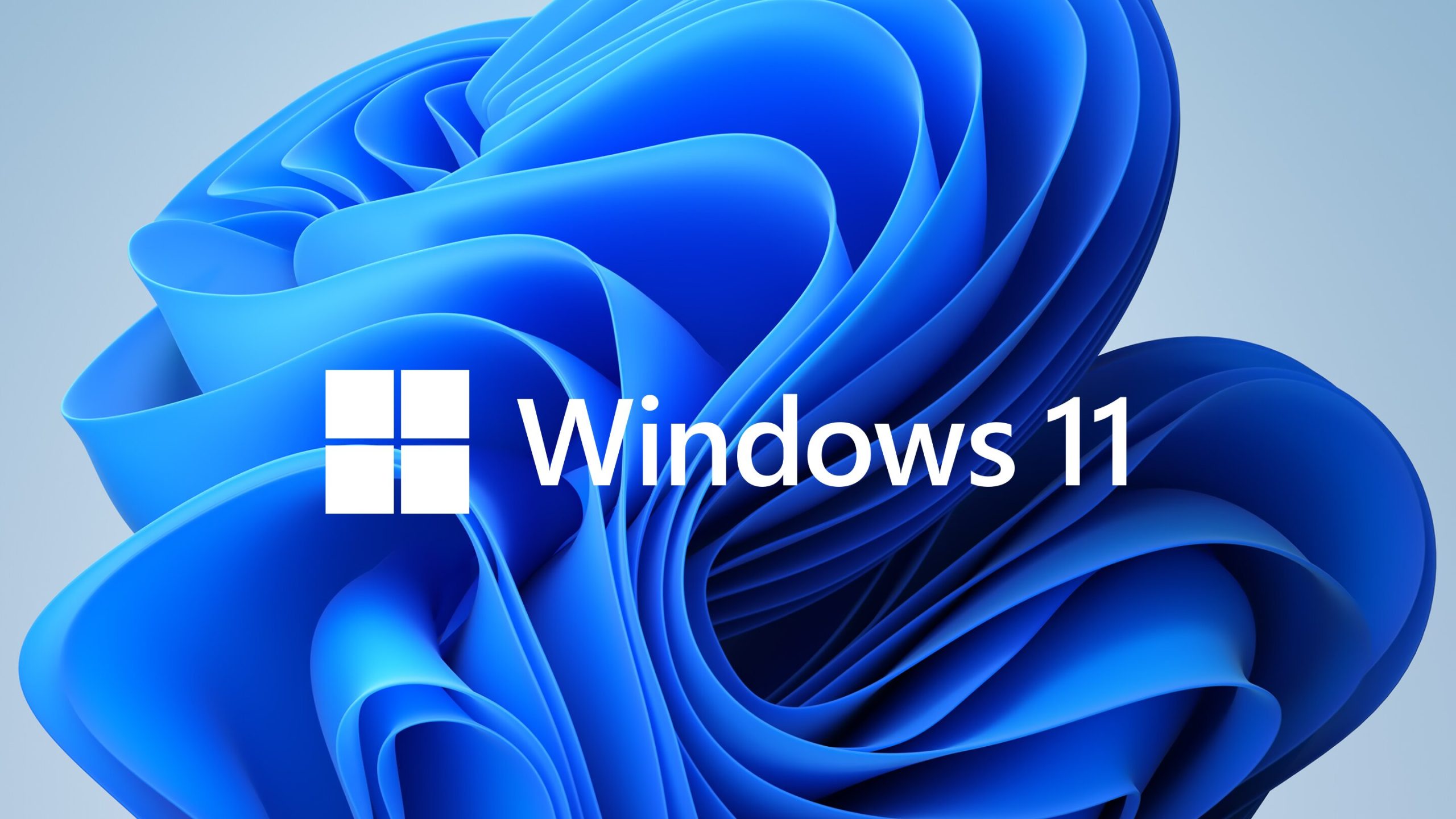 Windows 11 22H2 Build 22621.1555 RTM 官方正式版下载